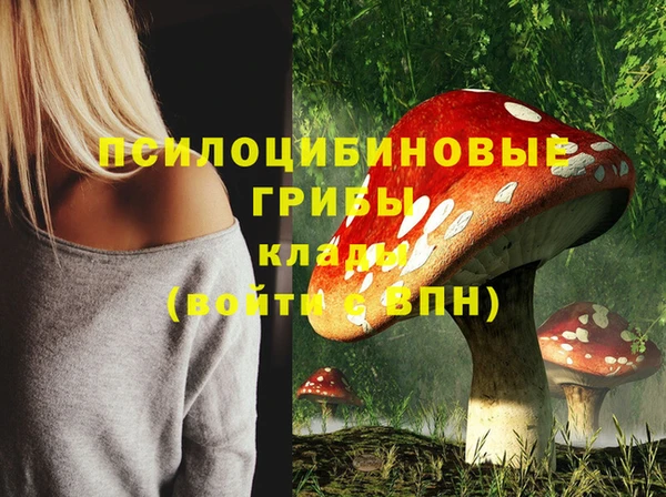 соль ск Богданович
