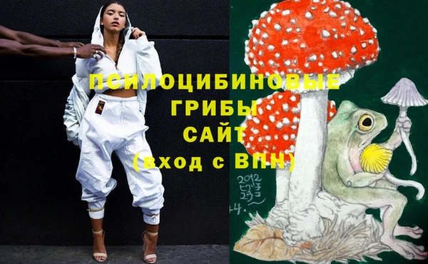 соль ск Богданович