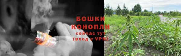 мдпв Богородск