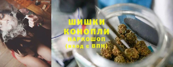 мдпв Богородск