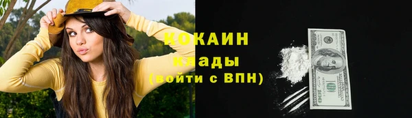 соль ск Богданович