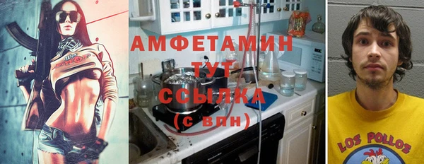 мдпв Богородск