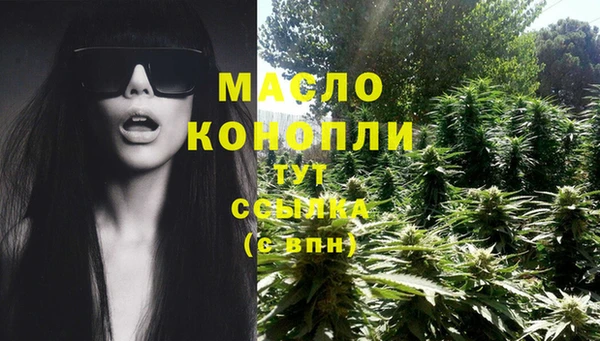 мдпв Богородск